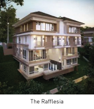 The-Rafflesia